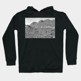 Joshua Tree Landscape with Saab Hoodie